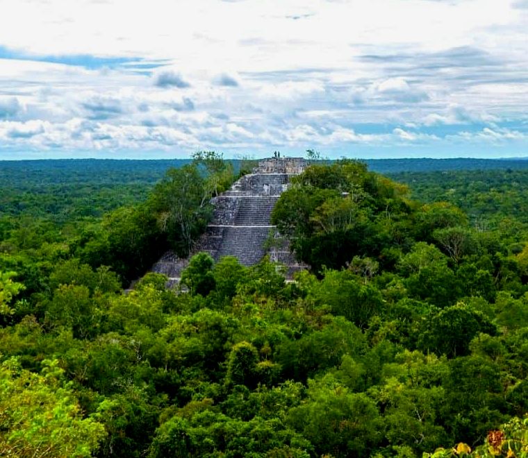 grande pirâmide maia nas selvas verdes verdes da península de Yucatán, no México, chamada Ruínas de Calakmul, um dos lugares mais exclusivos para visitar no México