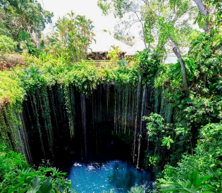 piscina de cenote com vinhas penduradas - passeios de um dia saindo de Mérida