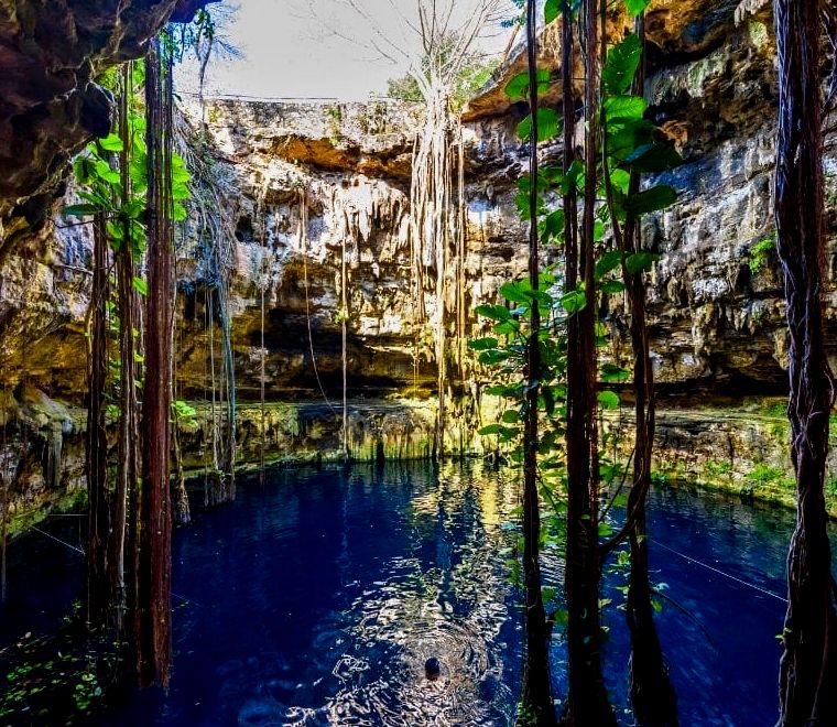 piscina natural cenote - passeios de um dia saindo de Mérida