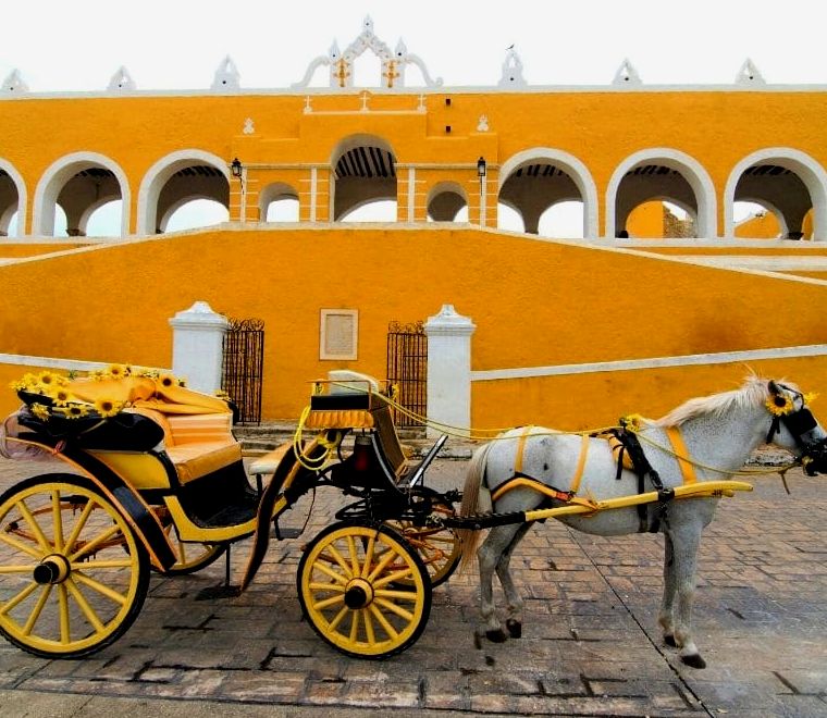 paredes amarelas na cidade velha e cavalos amarelos e charretes - passeios de um dia saindo de Mérida