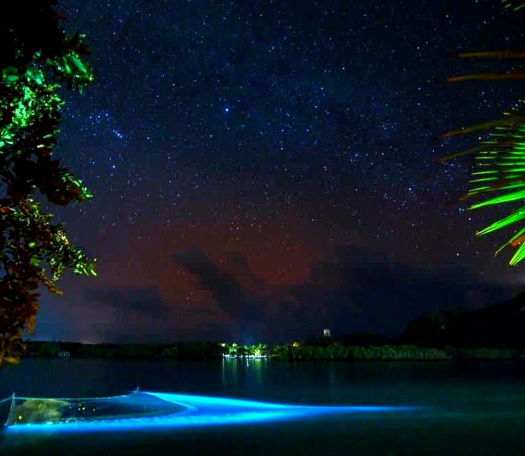 baía bioluminescente brilhando em azul à noite