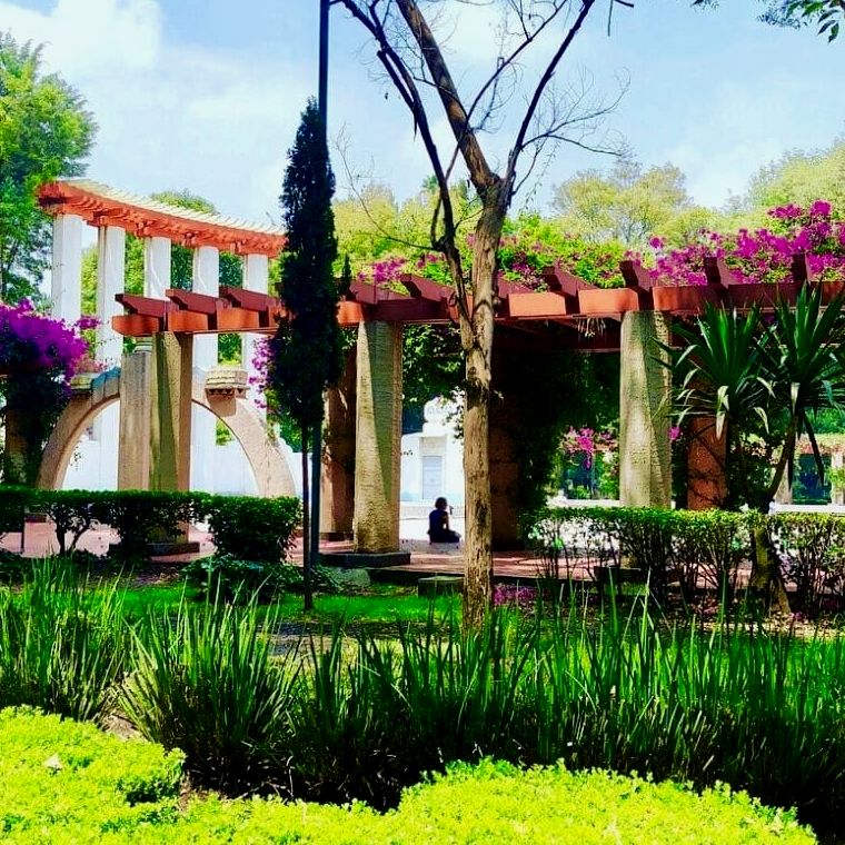 Parque verdejante Parque México