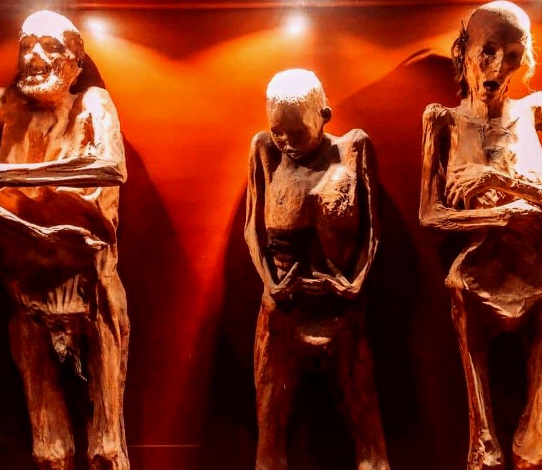 corpos humanos mumificados |  Museu da Múmia de Guanajuato |  O que fazer em Guanajuato, México