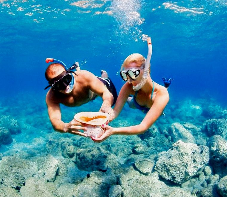 turistas mergulhando e segurando uma concha