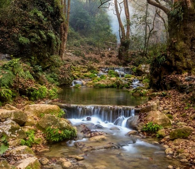 pequena cachoeira fluindo na floresta em Sierra Gorda, Querétaro, México |  lugares únicos para visitar no México