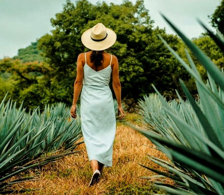 mulher com vestido listrado verde e branco e chapéu de sol marrom caminhando por um campo de grandes plantas de agave verde com pontas em um campo em Tequila, um dos lugares mais exclusivos para se visitar no México