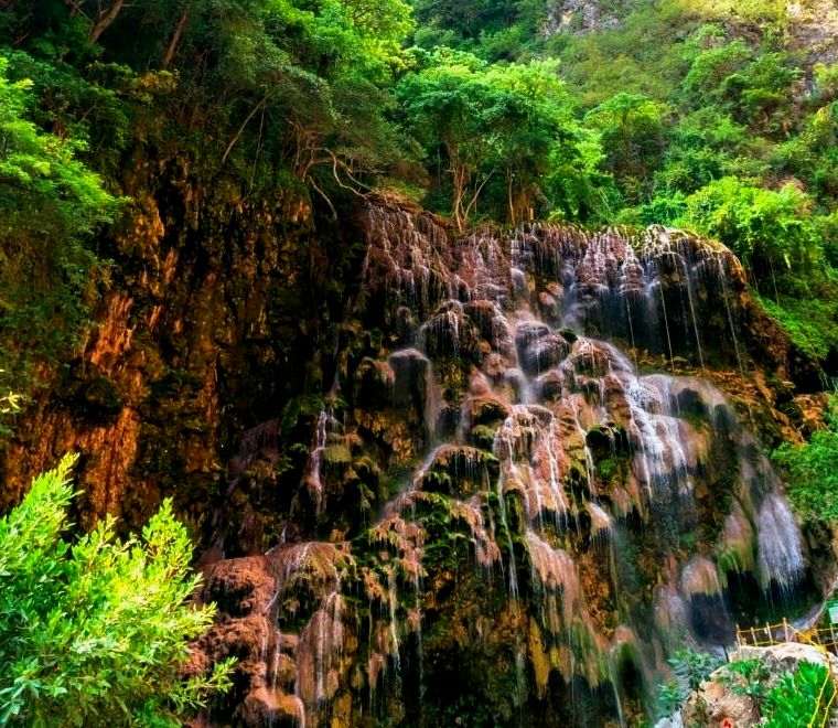 pequena cachoeira em uma floresta - Visite Las Grutas Tolantongo
