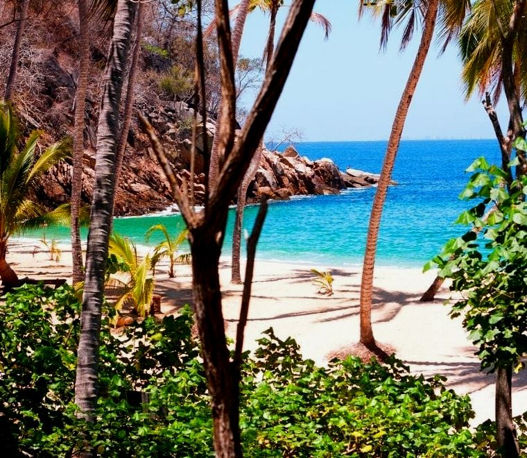 Praia de Yelapa cercada por vegetação exuberante e árvores tropicais