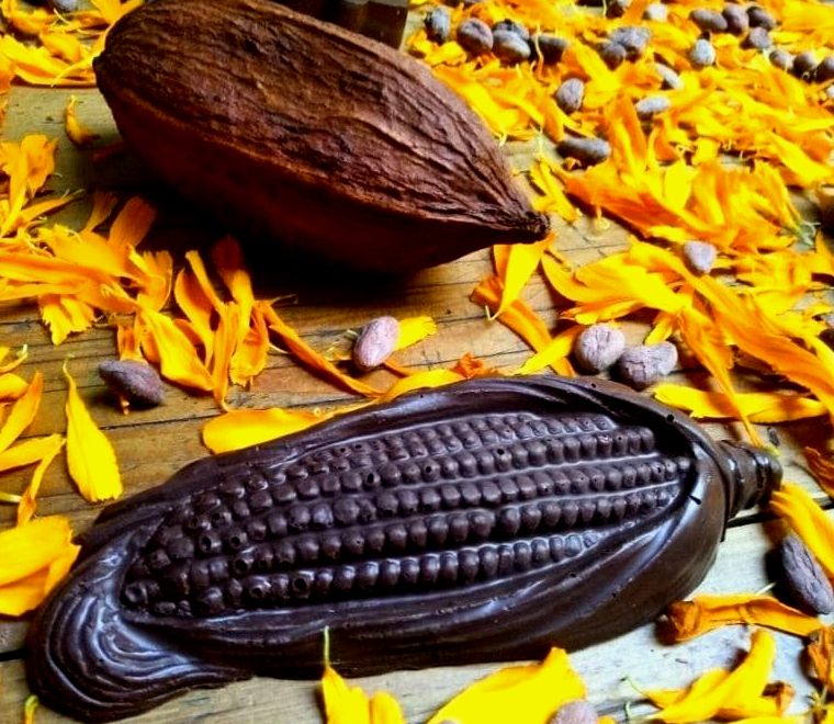 vagem de cacau e chocolate em forma de espiga de milho |  melhores museus da cidade do méxico