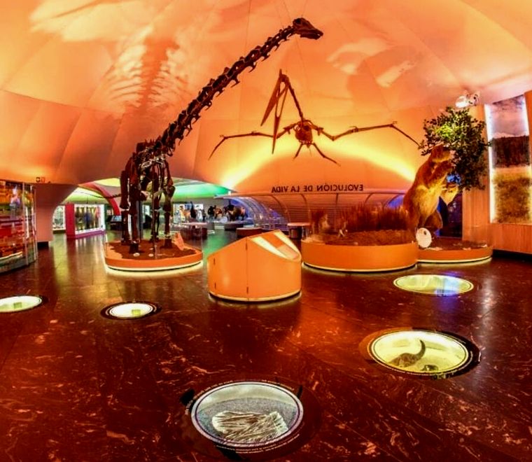 esqueleto de dinossauro |  melhores museus da cidade do méxico