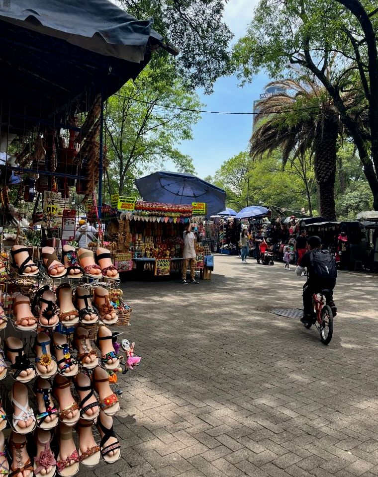 pedalando no parque chapultepec CDMX