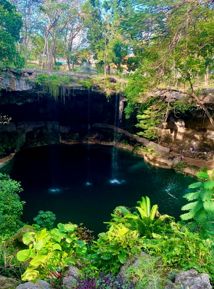 piscina de selva natural em valladolid México chamada cenote zaci