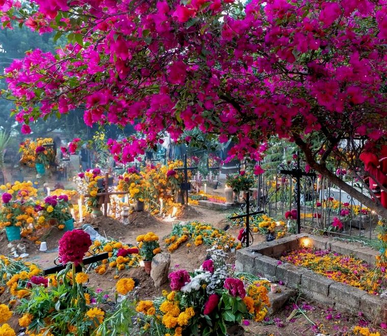 cemitério lindamente decorado cheio de flores de calêndula em San Agustin Etla para o dia dos mortos em Oaxaca, México