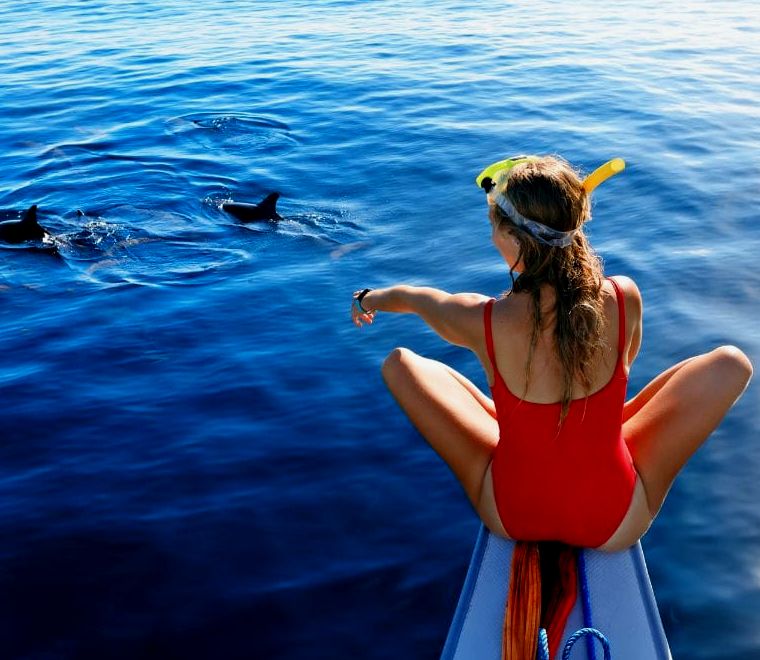 garota de biquíni vermelho sentada na beira do barco observando golfinhos pularem da água