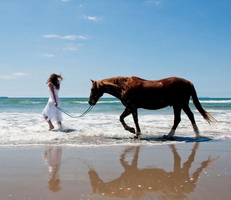 mulher de vestido branco com cavalo na praia