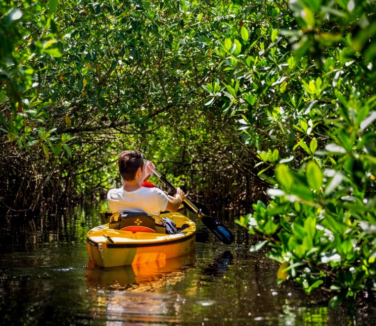 homem andando de caiaque nos canais da Lagoa Manialtepec com manguezais ao redor