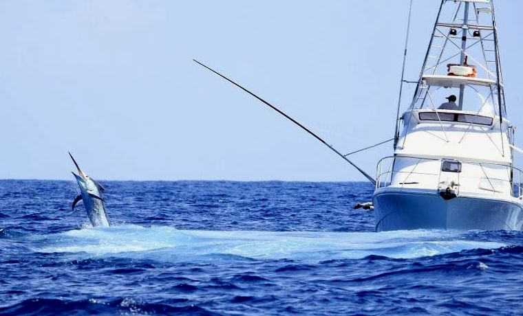pesca em alto mar de marlin em cabo san lucas méxico