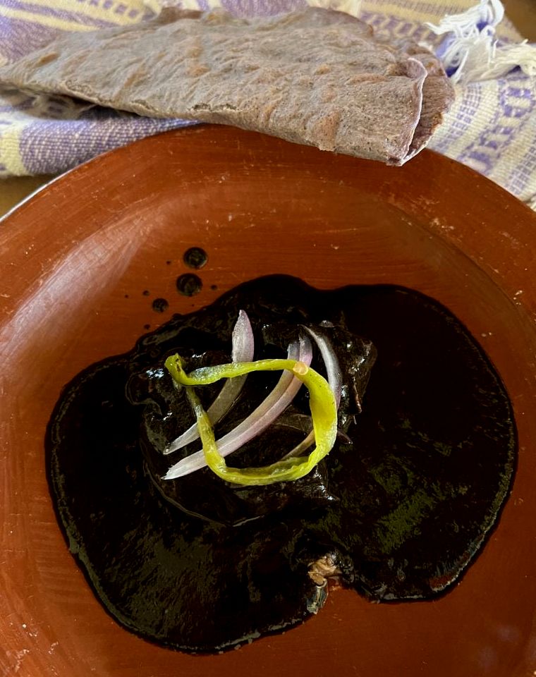 prato de mole negro (toupeira preta)