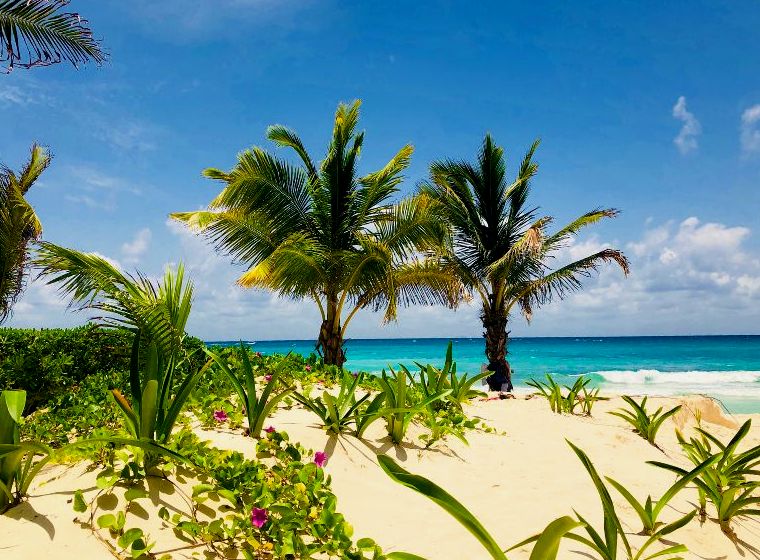 praia de playacar, uma praia tropical na riviera maya méxico