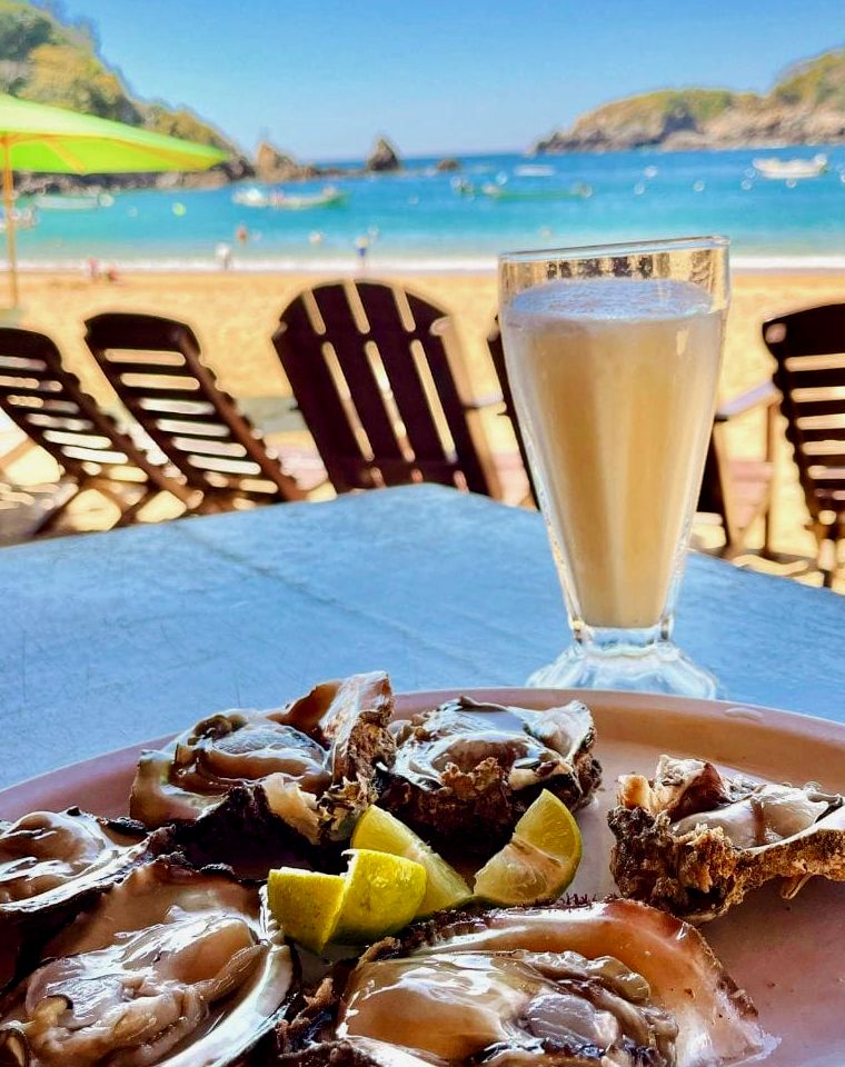 prato de ostras frescas na praia em Puerto Angel, Oaxaca México