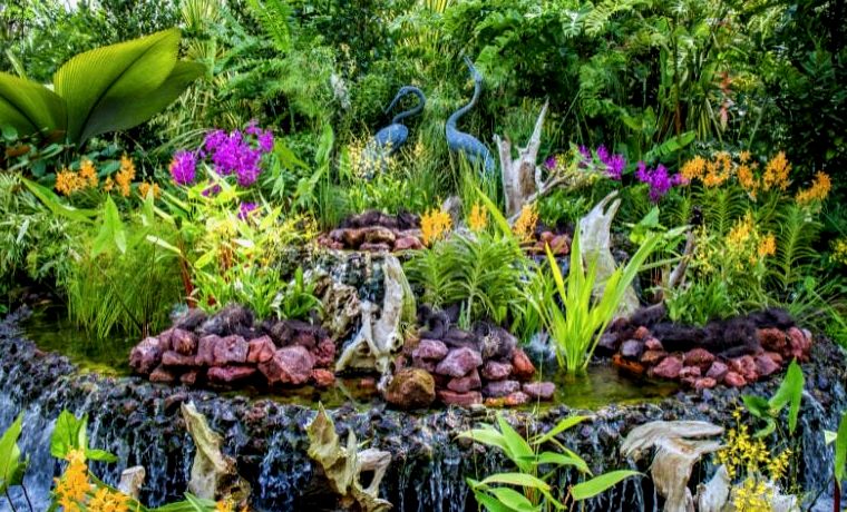 jardins botânicos de puerto vallarta no méxico