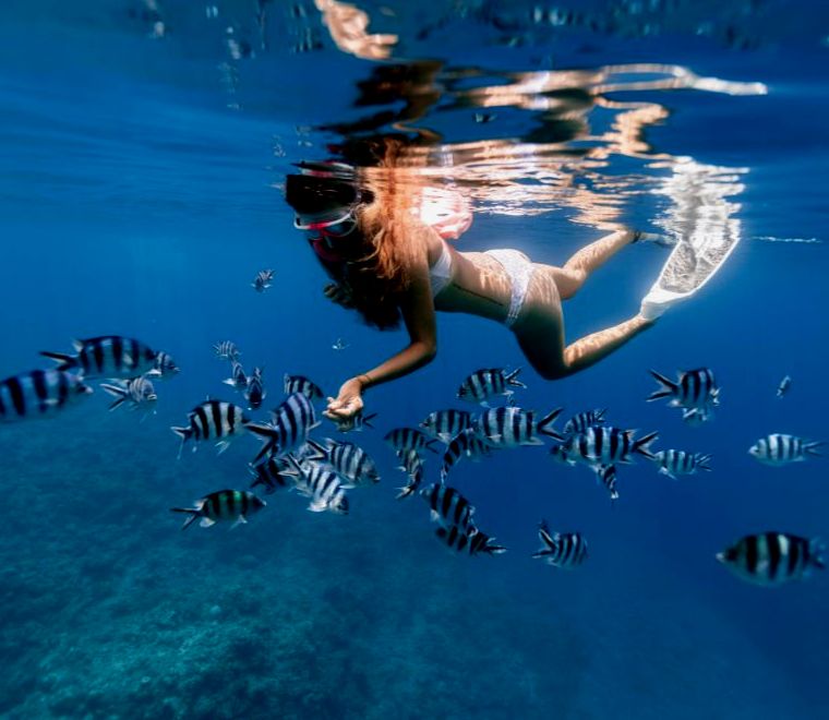 turista em biquíni branco mergulhando com peixes tropicais